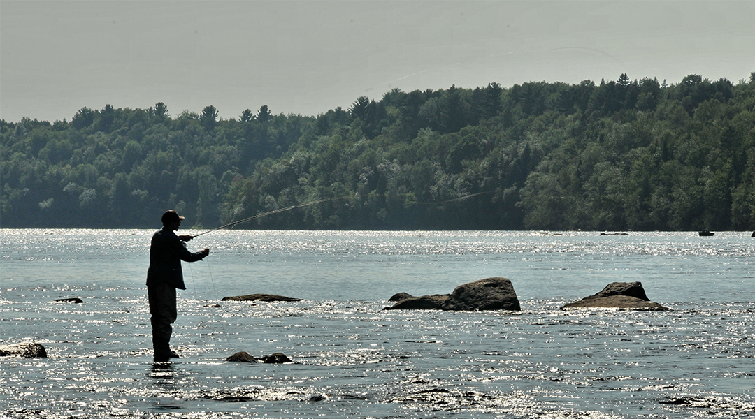 Camping Lac-Saint-Michel offre des activités de pêche pour toute la famille